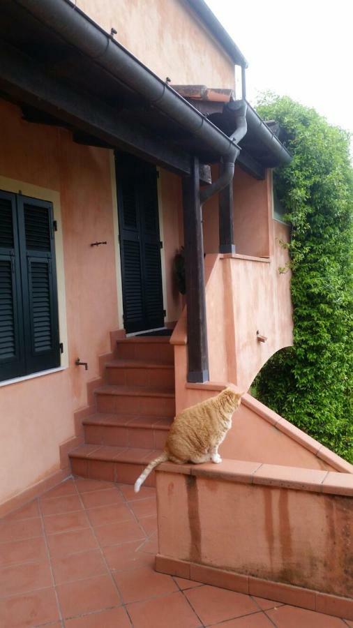 Pin De Stelle Bed and Breakfast San Martino  Buitenkant foto